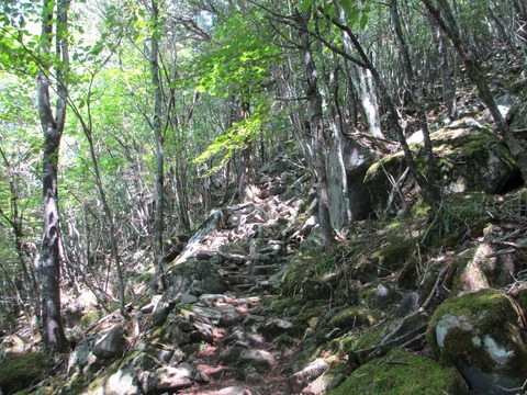 IMG_1739 a very rough trail