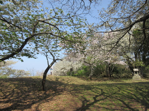 IMG_4303鷲頭山頂