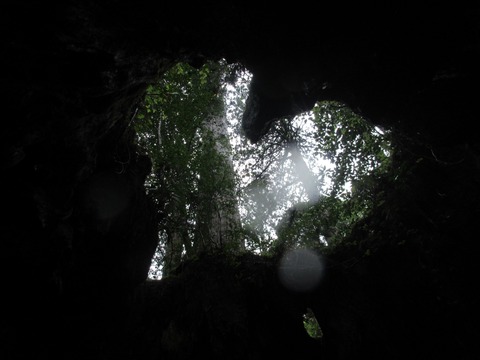 IMG_1811ウィルソン株の中から見るハート