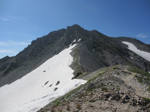 IMG_0626 along the edge line