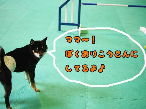 BlogPaint