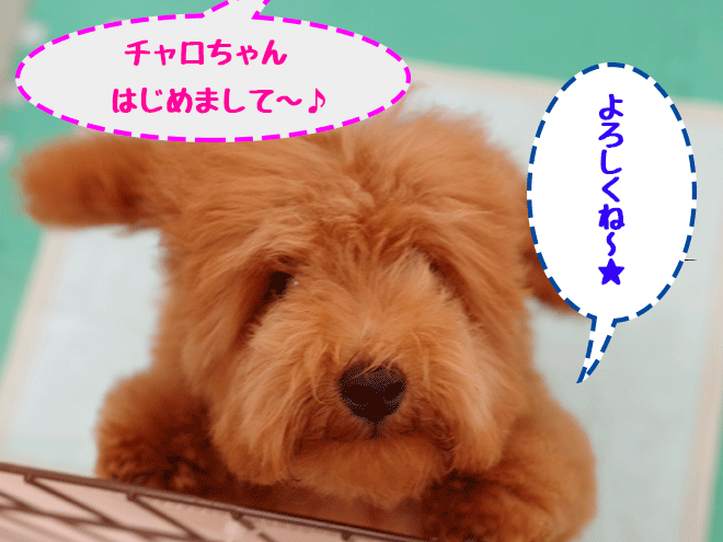 blog3