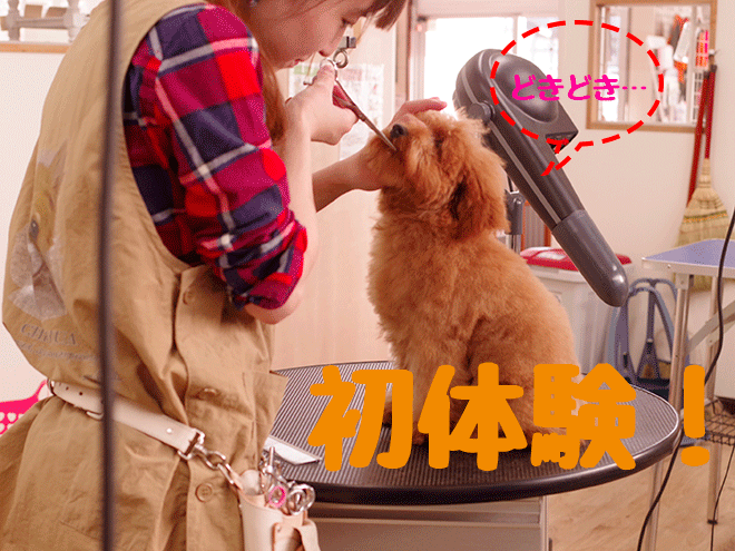 blog2