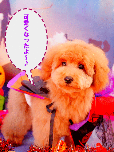 blog+6