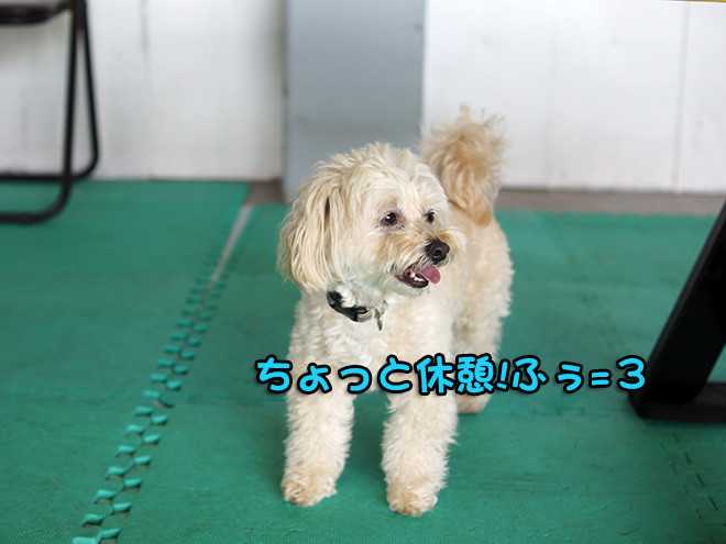 モフ