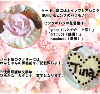 cakewed3