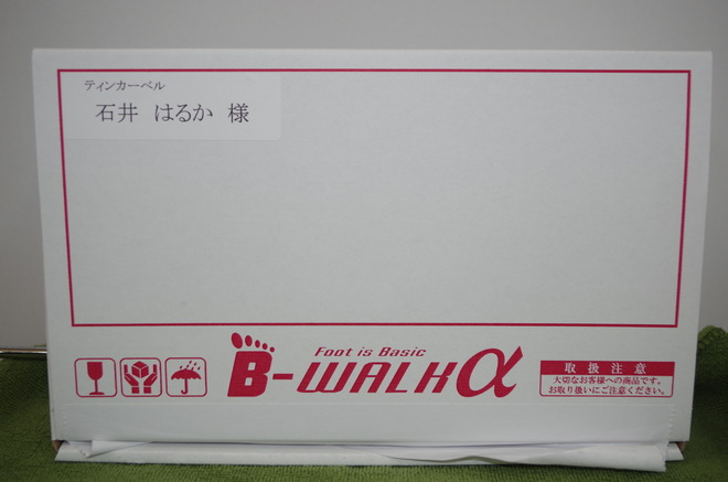 IMGP3453