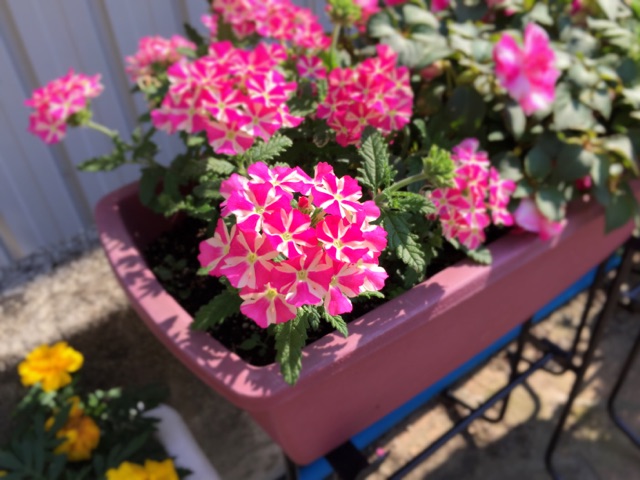 20160520_04
