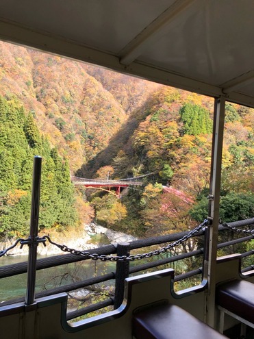 紅葉