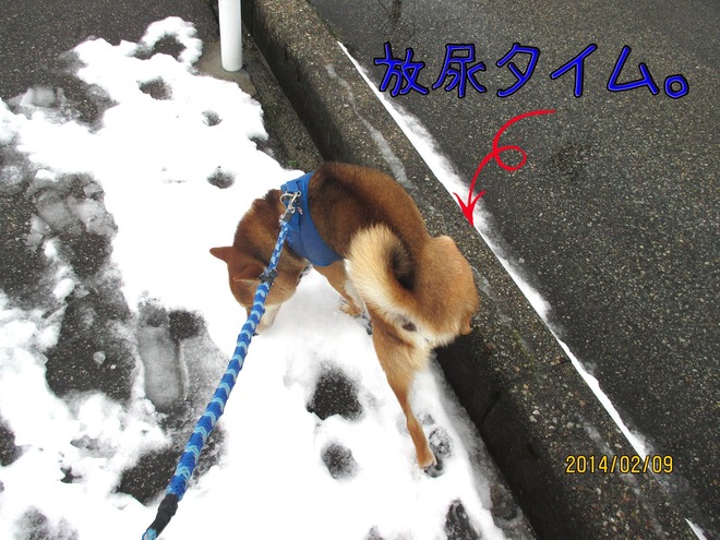 20140212_03
