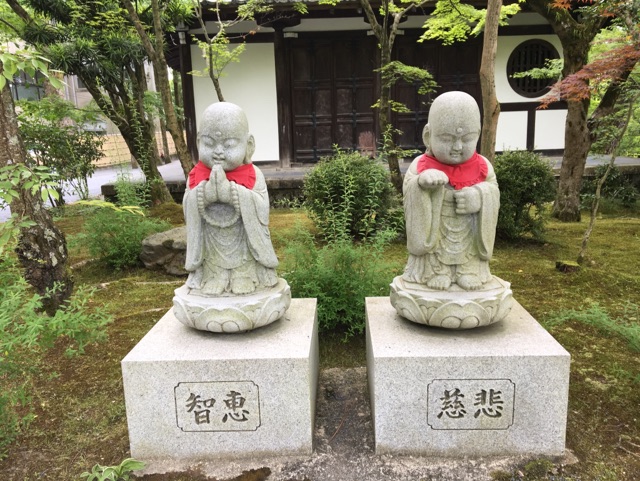 京都9