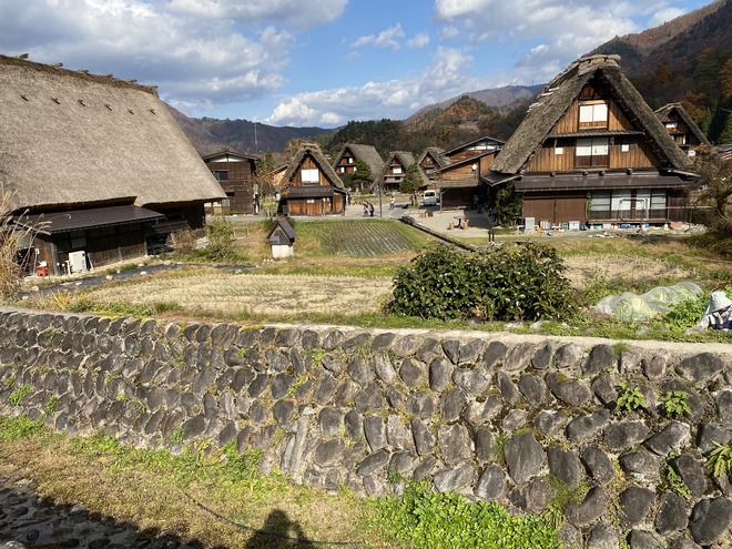 IMG-0887