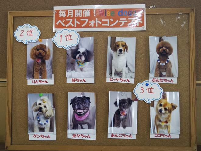 全体写真