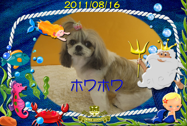 53e682a6.jpg