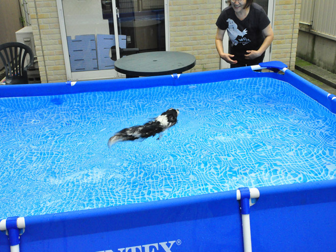 2014_0803_-1