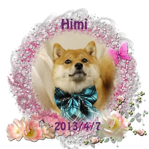 6579823b.jpg