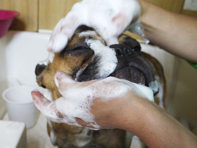 720f45f7.jpg