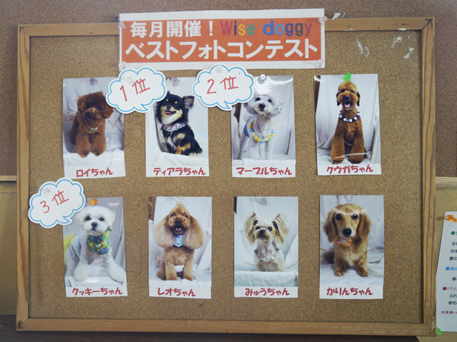 全体写真