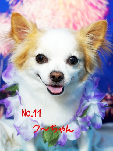 11