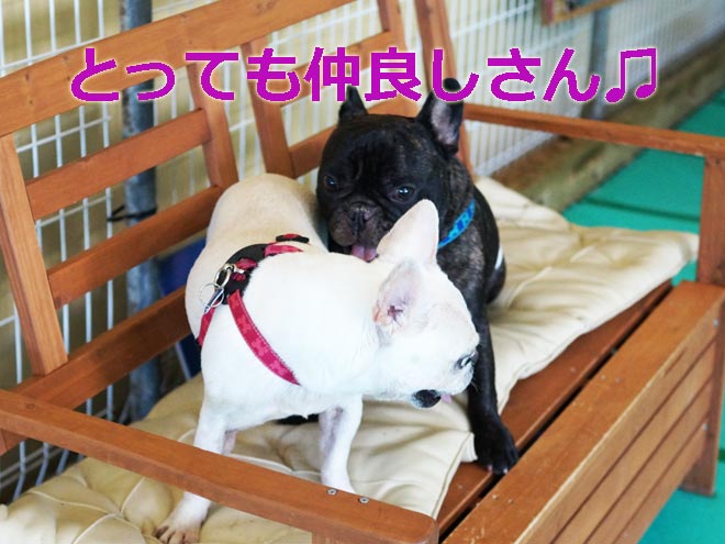 ご・ち1