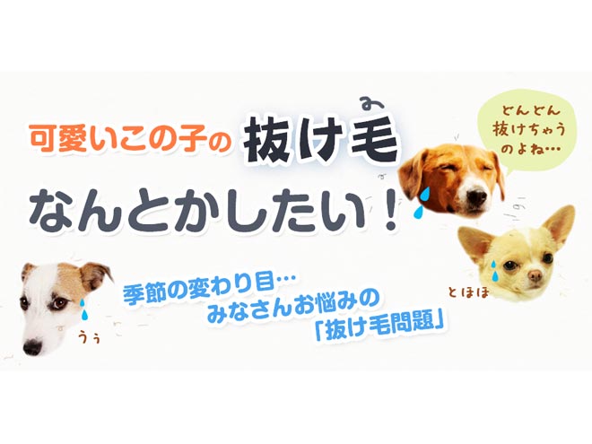 おぱ