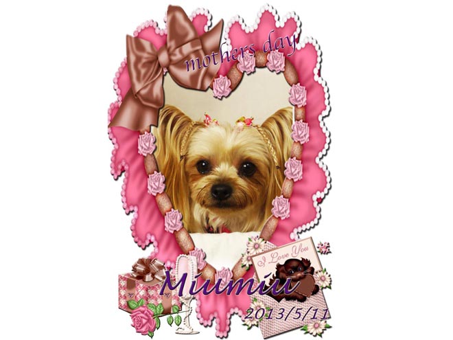 MIUMIU