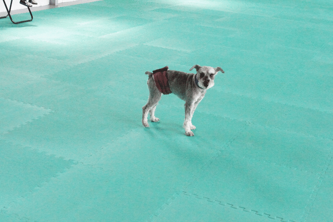 DSC07092