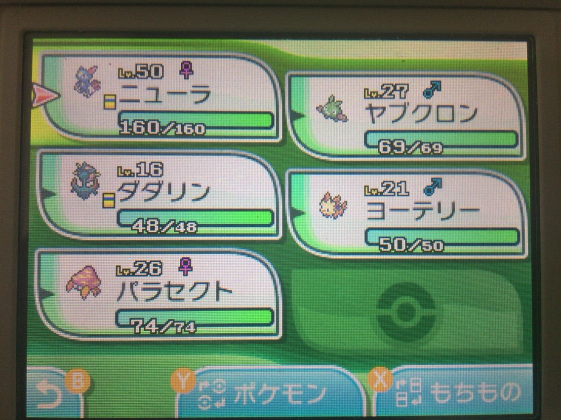 メタモン仲間を呼ぶ連鎖2 もちもちしてる木 メタモン仲間を呼ぶ連鎖2 もちもちしてる木