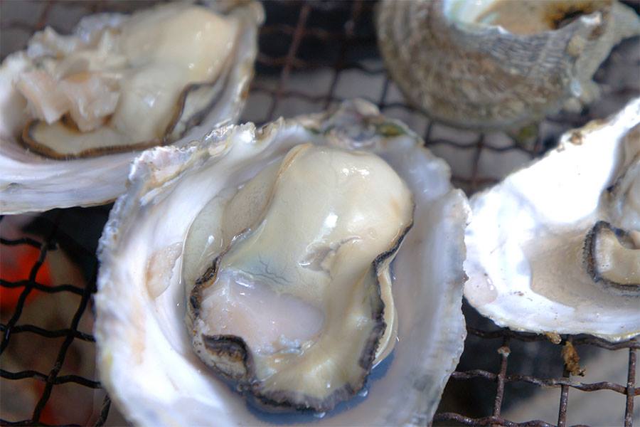 福岡市西区 唐泊恵比須かき小屋 ビケメン スタイル