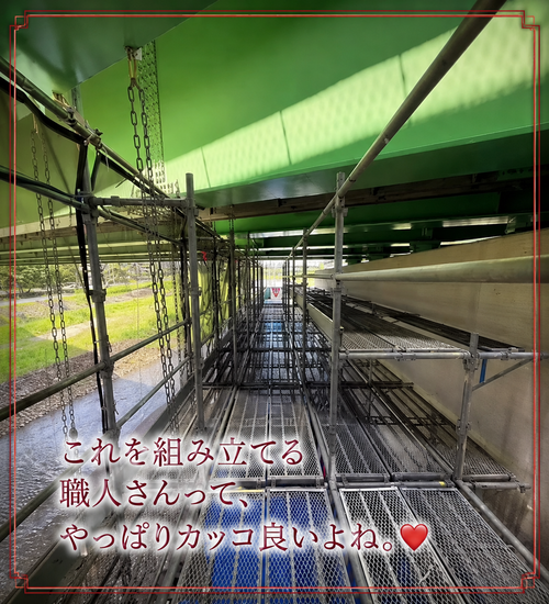 �ӥ�������������1