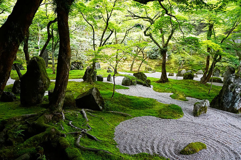 福岡県太宰府市 光明禅寺 ビケメン スタイル 福岡県太宰府市 光明禅寺 ビケメン スタイル
