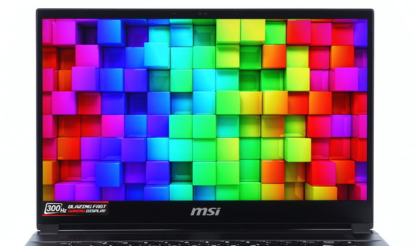 MSI GS66 Stealth GS66-10UG-003JP review_02601_DxO