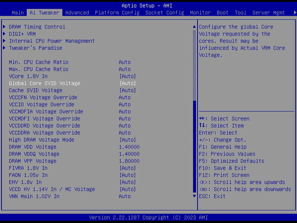 Xeon w7-2495X_BIOS_x46-PL (2)