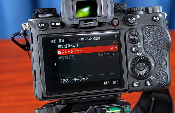 DSC02508_DxO