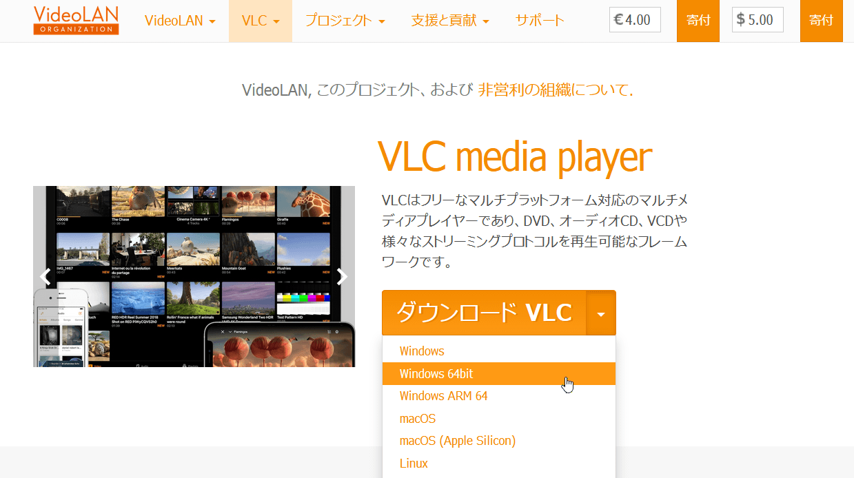 VLC Media Player_install