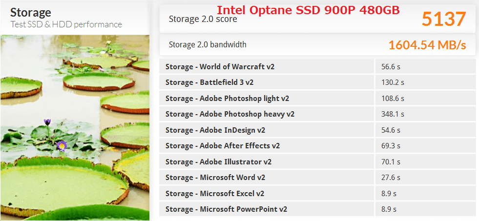 Intel Optane SSD 900P 480GB_PCM8