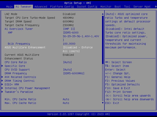 Xeon w7-2495X_BIOS_default (1)