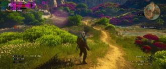 witcher3 2017-11-30 16-55-40-63