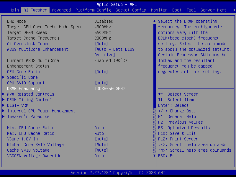 TE16GFREV2MH_2495X_ASUS_5600C46_BIOS (1)