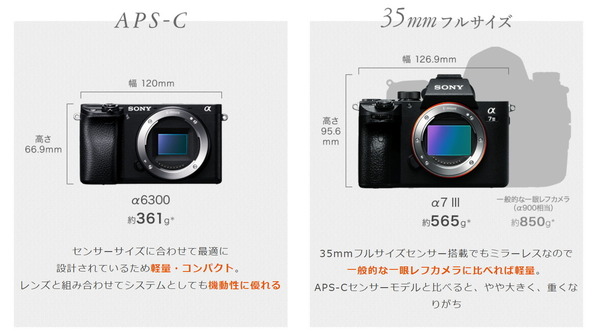 Sony-alpha-camera-size