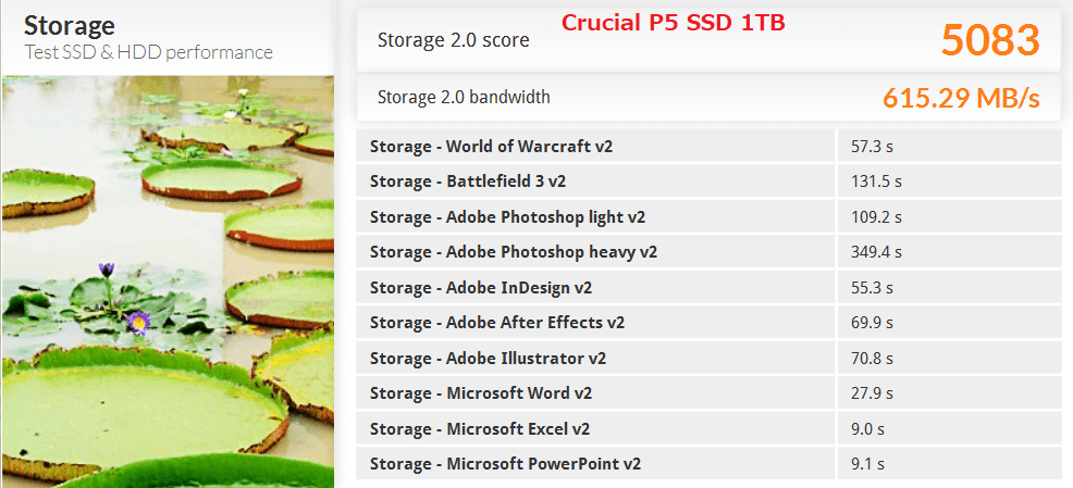 Crucial P5 SSD 1TB_PCM8