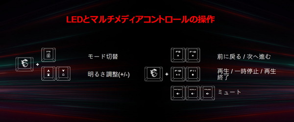 MSI VIGOR GK20_Function-Key