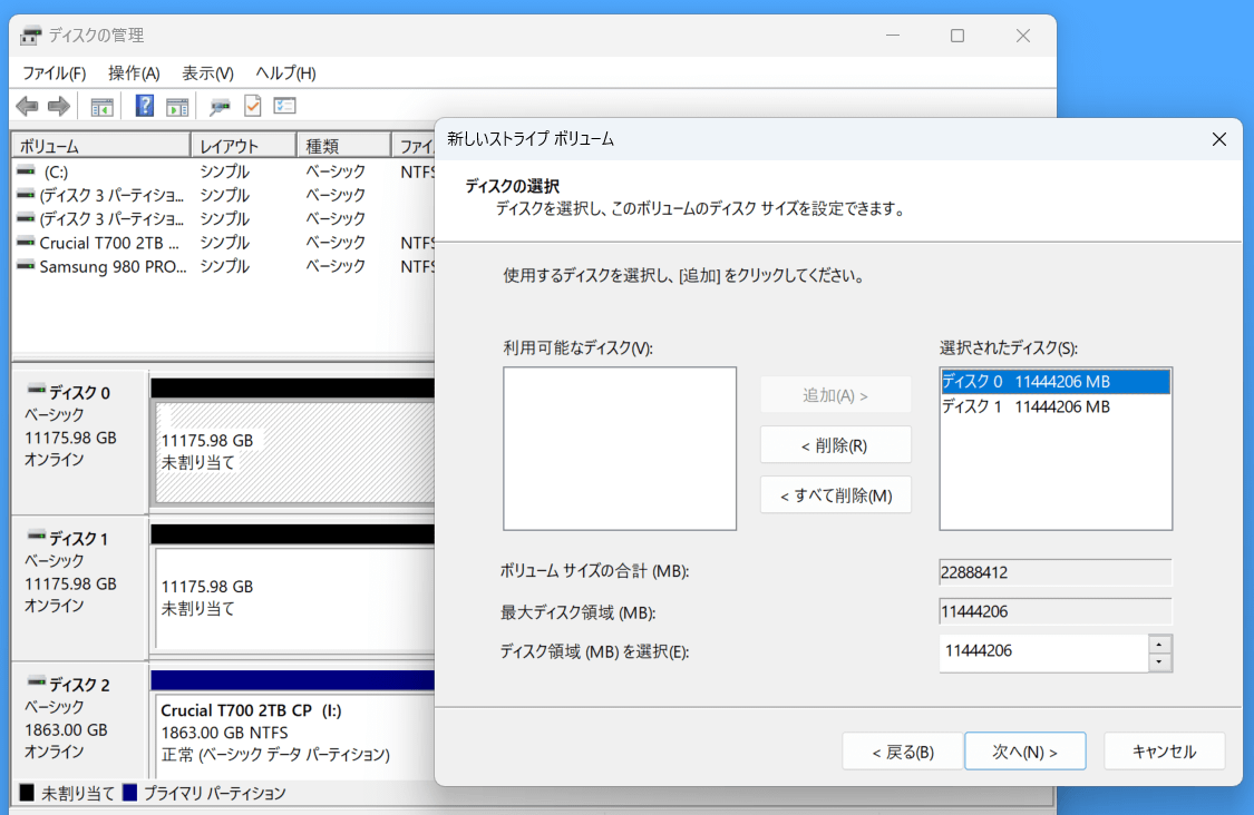 TOSHIBA N300 NAS HDD 12TB x2 RAID0_Volume (1)