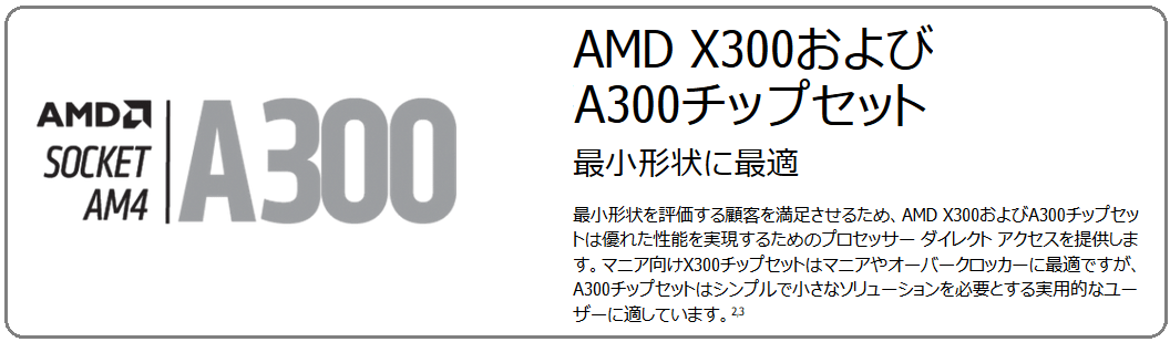AMD A300
