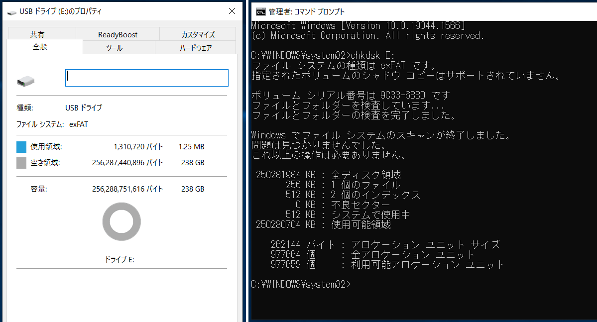 Samsung SDXCカード EVO Plus (2021) 256GB_Format