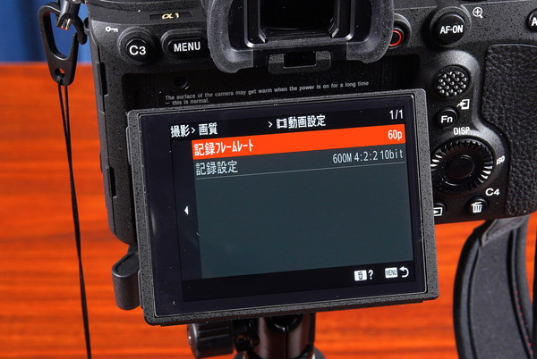 DSC01801_DxO