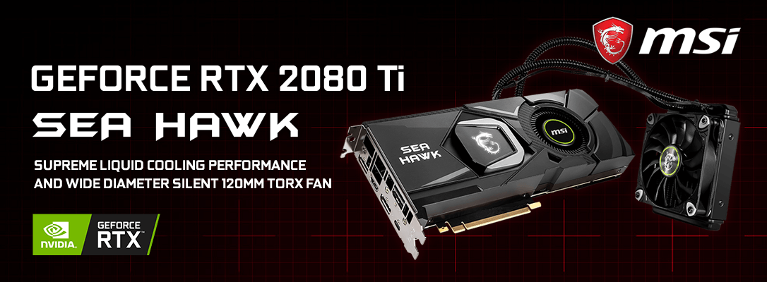 CROYDON_MSI GeForce RTX 2080 Ti SEA HAWK X