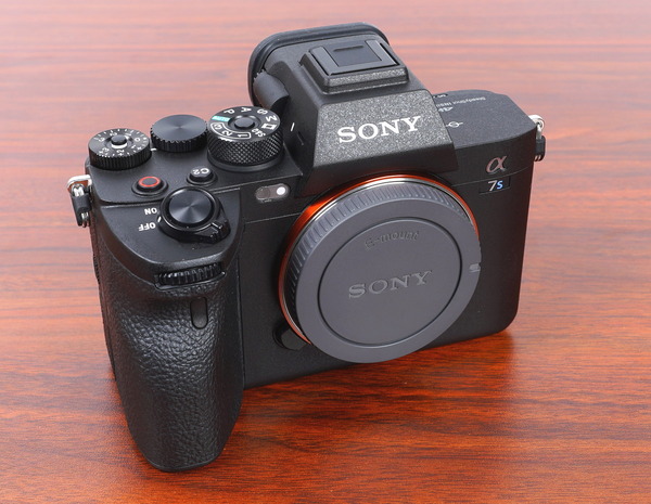 Sony α7S III review_01022_DxO