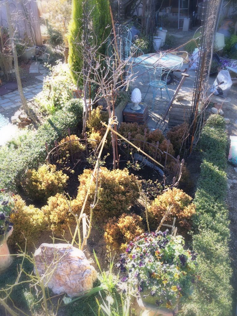 ニューサの植え付け 魔女の電子便 ニューサの植え付け 魔女の電子便