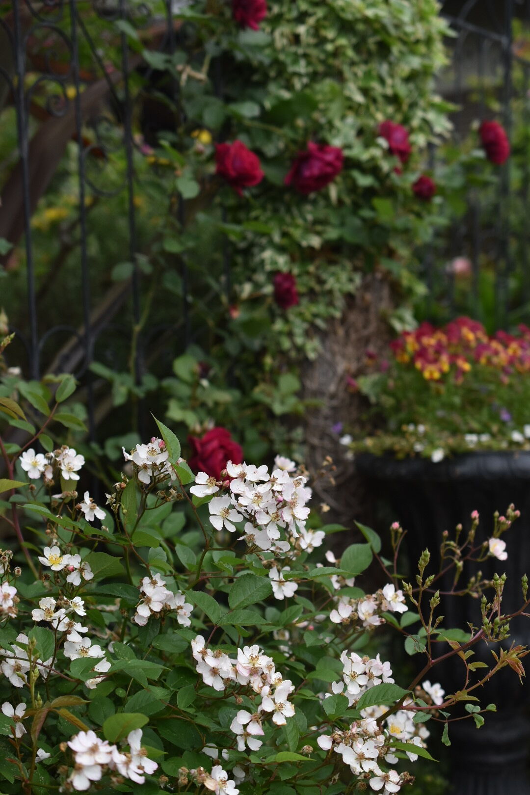 ニューサの庭さ 21 魔女の電子便